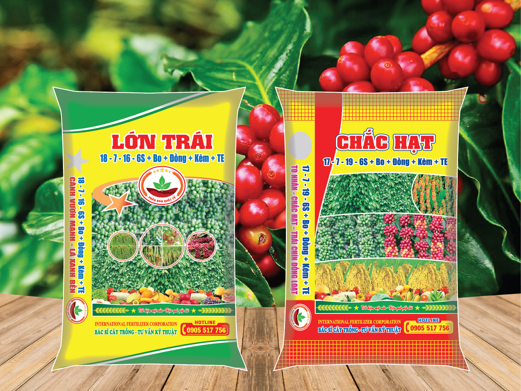 NHÓM PHÂN BÓN CÀ PHÊ MÙA MƯA